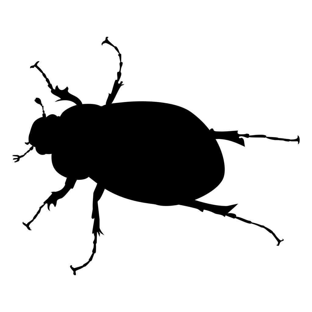 A Flight of&nbsp;Imagination